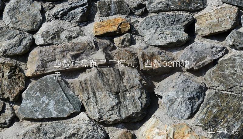 西数硬盘跑工厂模式,西数oem硬盘 西数硬盘跑工厂模式,西数oem硬盘