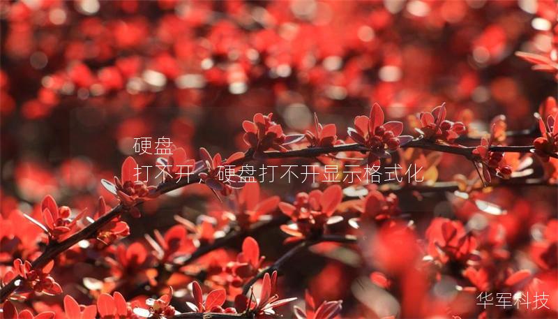 硬盘 打不开,硬盘打不开显示格式化 硬盘 打不开,硬盘打不开显示格式化