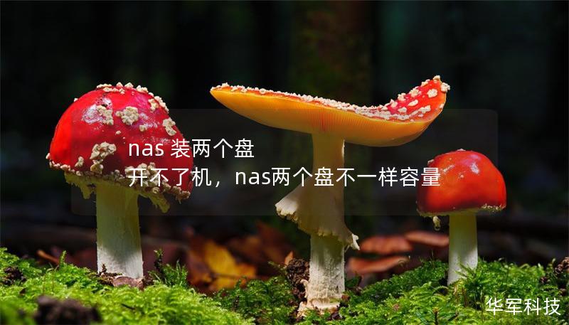 nas 装两个盘 开不了机,nas两个盘不一样容量 nas 装两个盘 开不了机,nas两个盘不一样容量