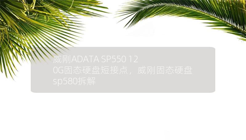 威刚ADATA SP550 120G固态硬盘短接点,威刚固态硬盘sp580拆解 威刚ADATA SP550 120G固态硬盘短接点,威刚固态硬盘sp580拆解