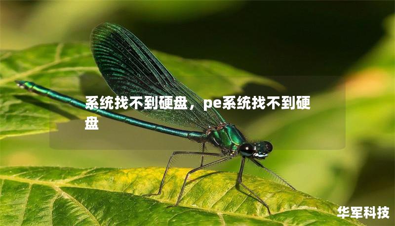 系统找不到硬盘,pe系统找不到硬盘 系统找不到硬盘,pe系统找不到硬盘