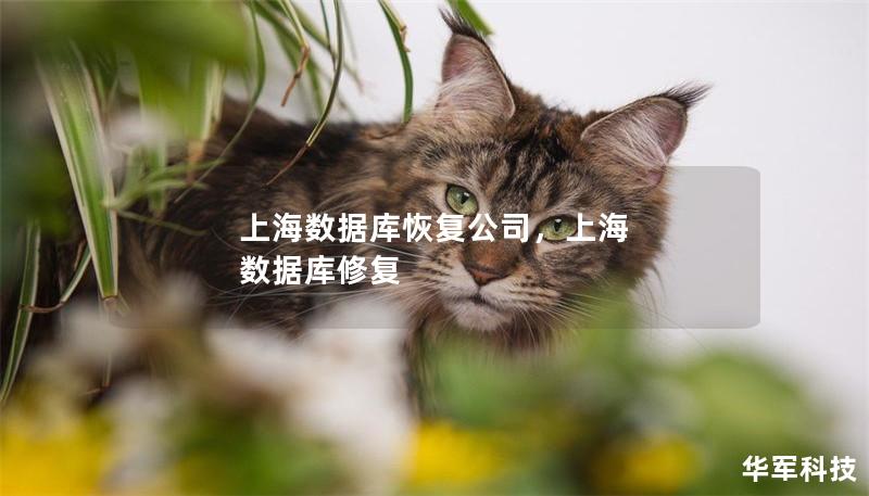 上海数据库恢复公司，上海 数据库修复