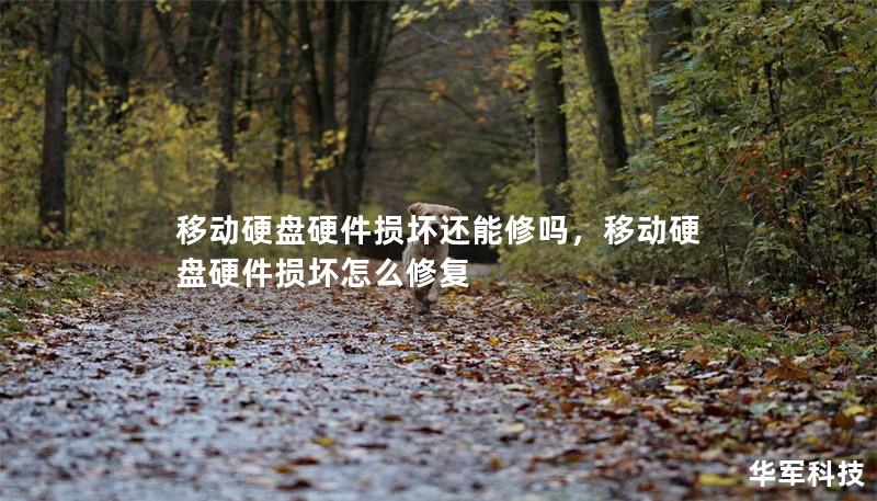 移动硬盘硬件损坏还能修吗,移动硬盘硬件损坏怎么修复 移动硬盘硬件损坏还能修吗,移动硬盘硬件损坏怎么修复