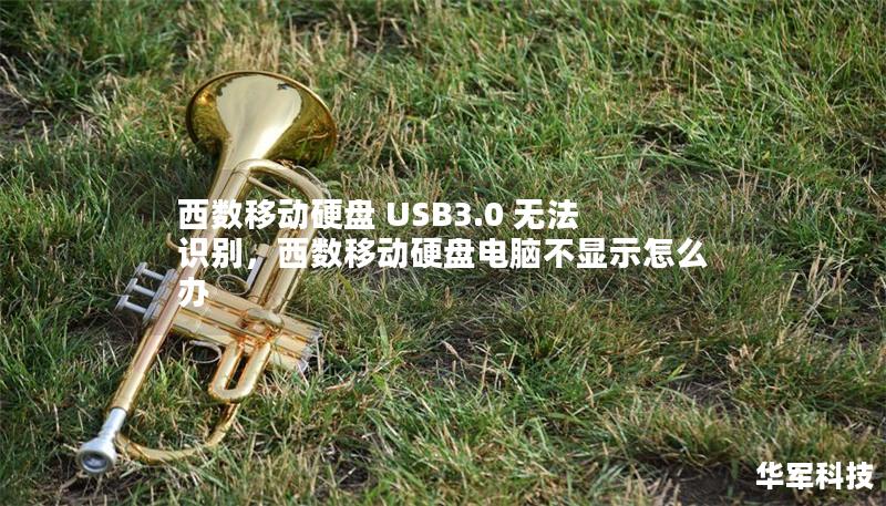 西数移动硬盘 USB3.0 无法识别,西数移动硬盘电脑不显示怎么办 西数移动硬盘 USB3.0 无法识别,西数移动硬盘电脑不显示怎么办