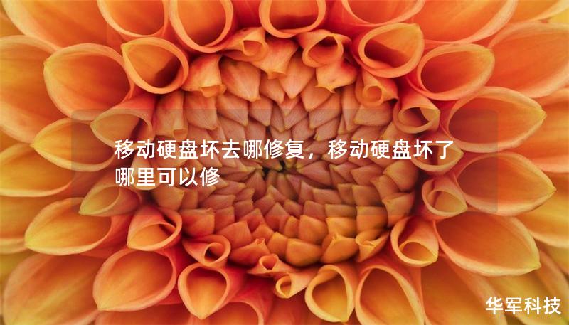 移动硬盘坏去哪修复，移动硬盘坏了哪里可以修