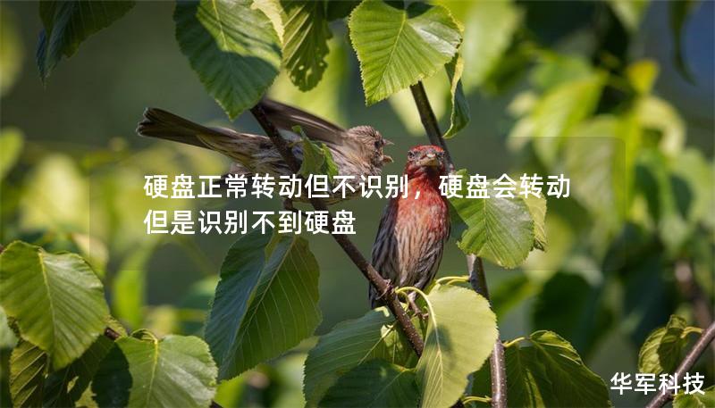 硬盘正常转动但不识别,硬盘会转动但是识别不到硬盘 硬盘正常转动但不识别,硬盘会转动但是识别不到硬盘