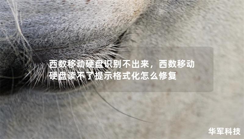 西数移动硬盘识别不出来,西数移动硬盘读不了提示格式化怎么修复 西数移动硬盘识别不出来,西数移动硬盘读不了提示格式化怎么修复