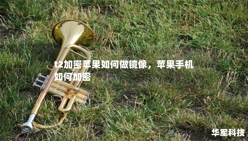 t2加密苹果如何做镜像，苹果手机如何加密