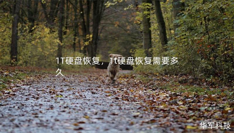 1T硬盘恢复,1t硬盘恢复需要多久 1T硬盘恢复,1t硬盘恢复需要多久