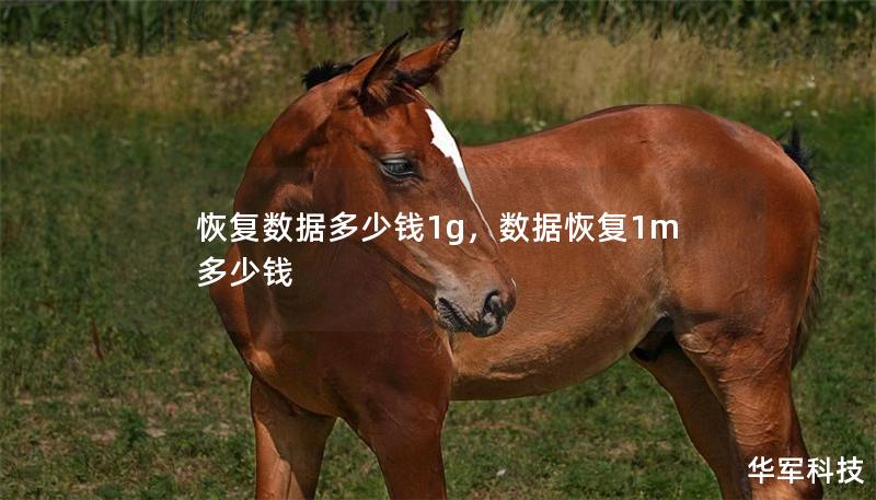 恢复数据多少钱1g,数据恢复1m多少钱 恢复数据多少钱1g,数据恢复1m多少钱
