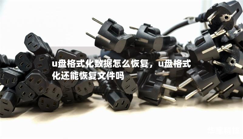 u盘格式化数据怎么恢复,u盘格式化还能恢复文件吗 u盘格式化数据怎么恢复,u盘格式化还能恢复文件吗