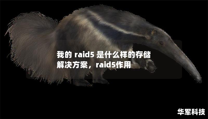 我的 raid5 是什么样的存储解决方案,raid5作用 我的 raid5 是什么样的存储解决方案,raid5作用
