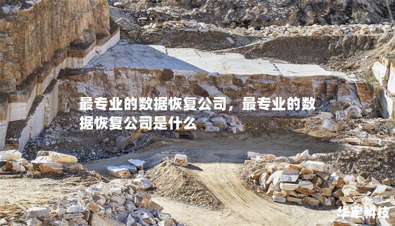 最专业的数据恢复公司,最专业的数据恢复公司是什么 最专业的数据恢复公司,最专业的数据恢复公司是什么