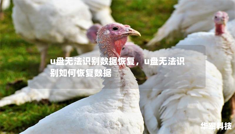 u盘无法识别数据恢复,u盘无法识别如何恢复数据 u盘无法识别数据恢复,u盘无法识别如何恢复数据