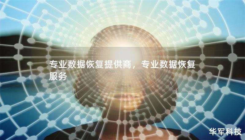 专业数据恢复提供商,专业数据恢复服务 专业数据恢复提供商,专业数据恢复服务