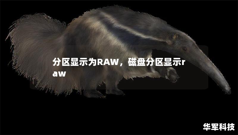 分区显示为RAW，磁盘分区显示raw