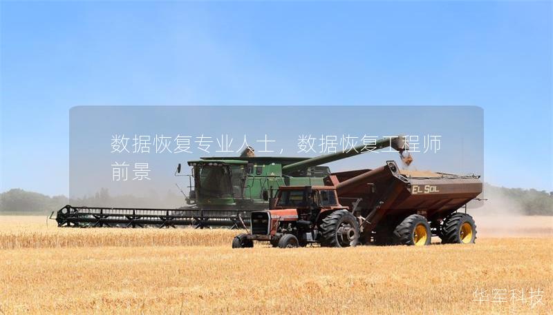 数据恢复专业人士,数据恢复工程师前景 数据恢复专业人士,数据恢复工程师前景