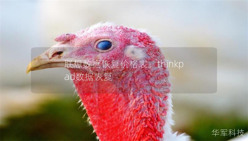 联想数据恢复价格表,thinkpad数据恢复 联想数据恢复价格表,thinkpad数据恢复