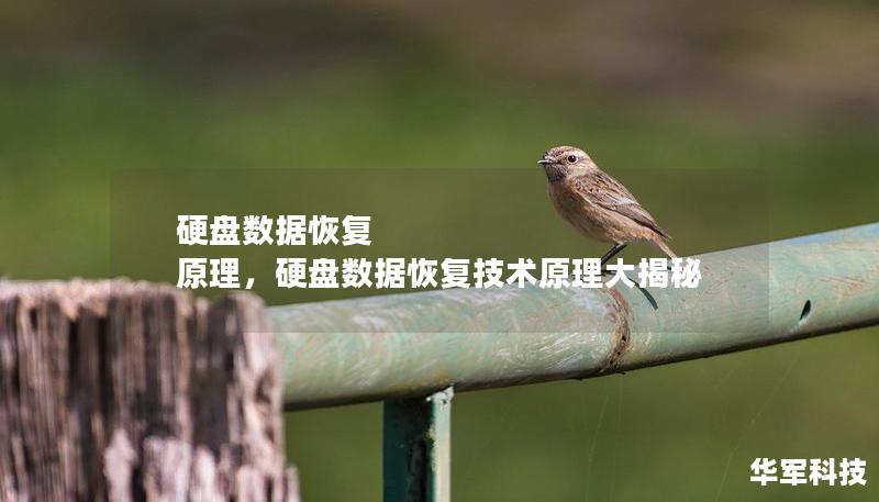 硬盘数据恢复 原理,硬盘数据恢复技术原理大揭秘 硬盘数据恢复 原理,硬盘数据恢复技术原理大揭秘