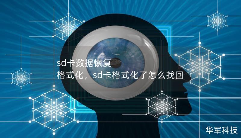 sd卡数据恢复 格式化,sd卡格式化了怎么找回 sd卡数据恢复 格式化,sd卡格式化了怎么找回