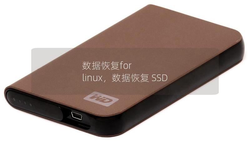数据恢复for linux，数据恢复 SSD
