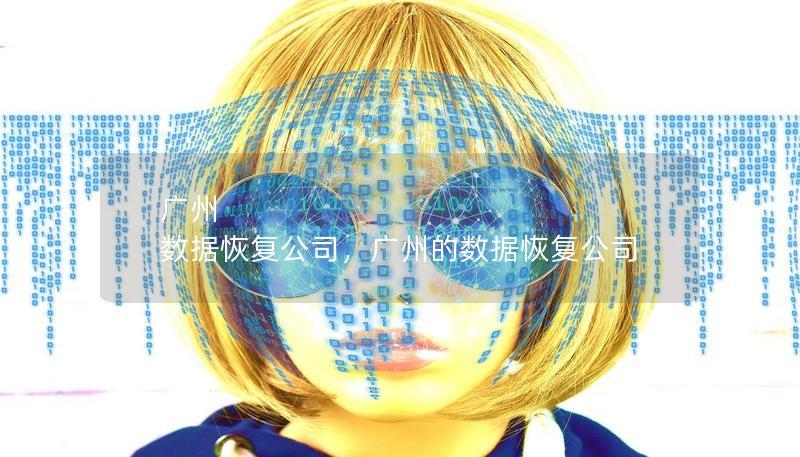 广州 数据恢复公司,广州的数据恢复公司 广州 数据恢复公司,广州的数据恢复公司