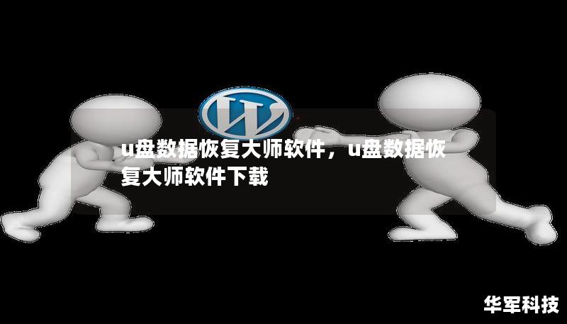 u盘数据恢复大师软件，u盘数据恢复大师软件下载