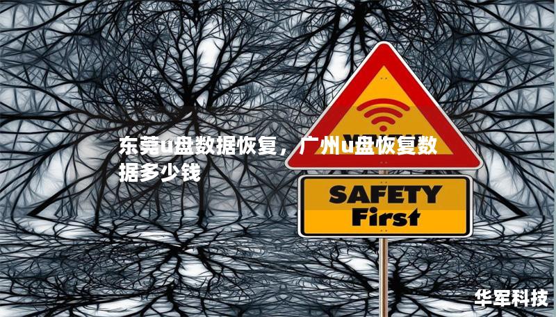 东莞u盘数据恢复,广州u盘恢复数据多少钱 东莞u盘数据恢复,广州u盘恢复数据多少钱