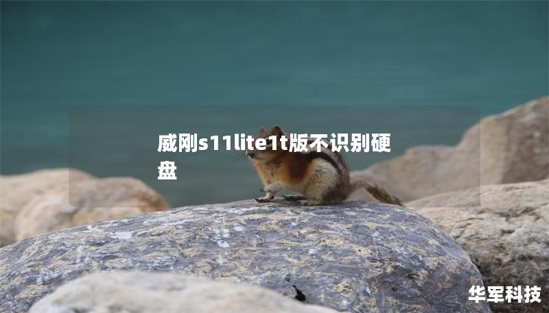 威刚s11lite1t版不识别硬盘