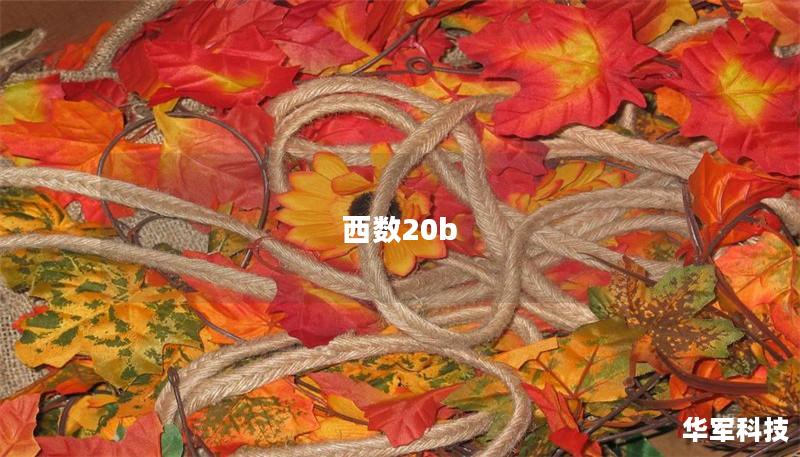 西数20b