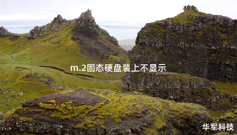 m.2固态硬盘装上不显示 m.2固态硬盘装上不显示