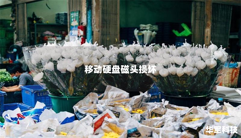 移动硬盘磁头损坏