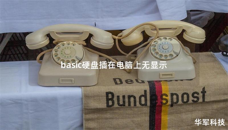 basic硬盘插在电脑上无显示