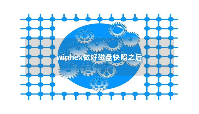 winhex做好磁盘快照之后