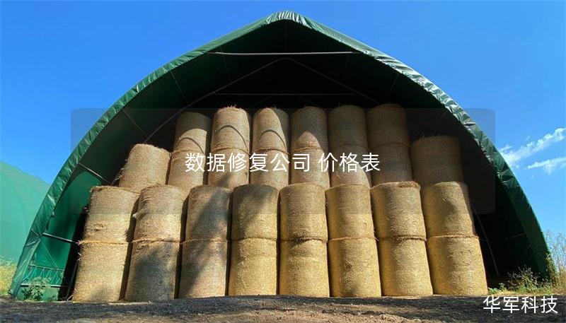 数据修复公司 价格表 数据修复公司 价格表