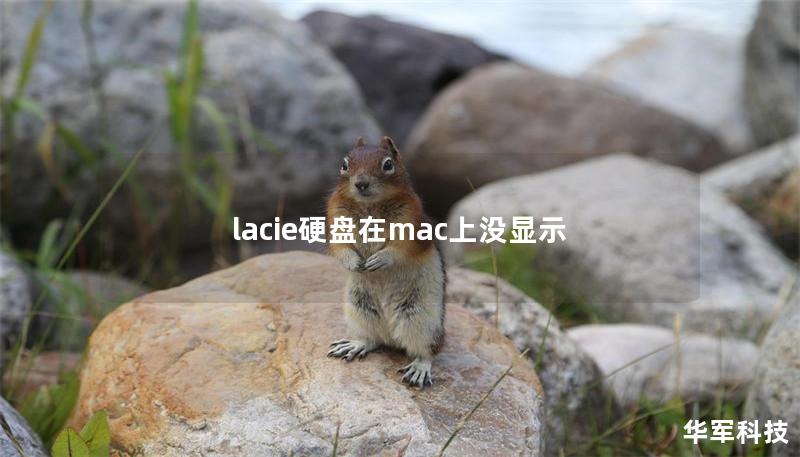 lacie硬盘在mac上没显示