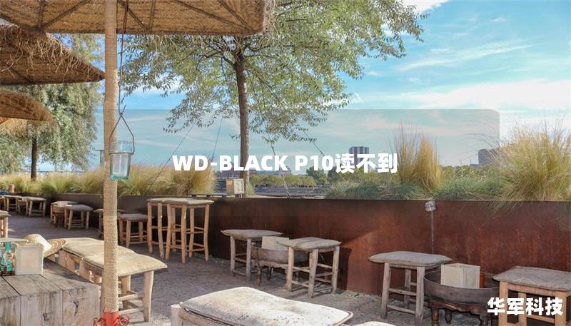 WD-BLACK P10读不到 WD-BLACK P10读不到