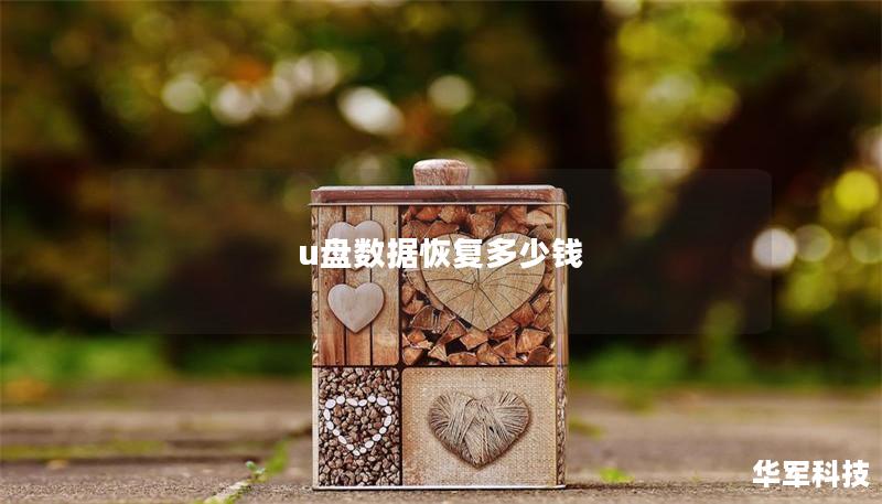 u盘数据恢复多少钱 u盘数据恢复多少钱