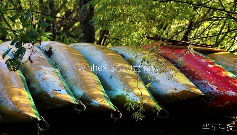 winhex 恢复U盘 raw winhex 恢复U盘 raw