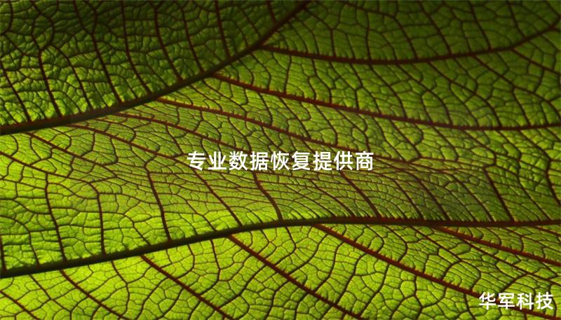 专业数据恢复提供商 专业数据恢复提供商