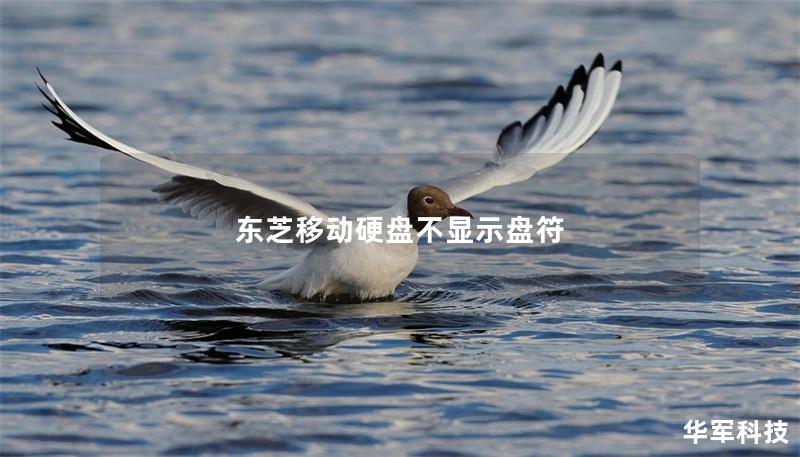 东芝移动硬盘不显示盘符