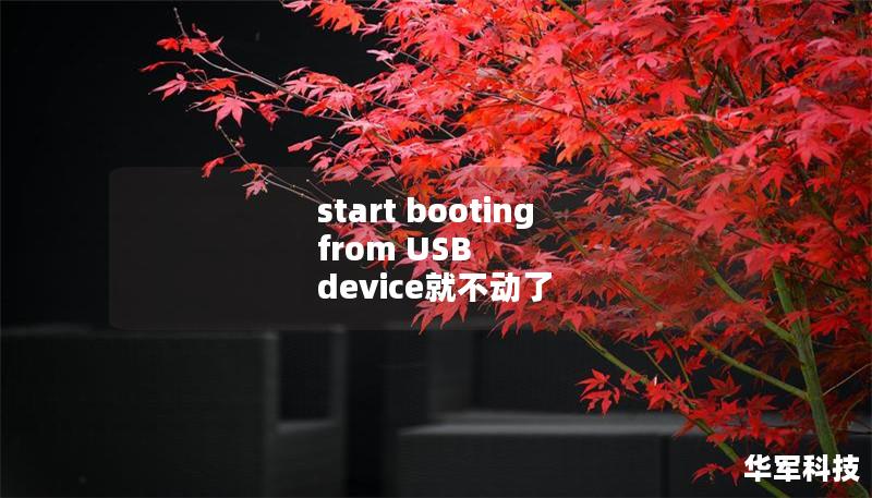 start booting from USB device就不动了 start booting from USB device就不动了
