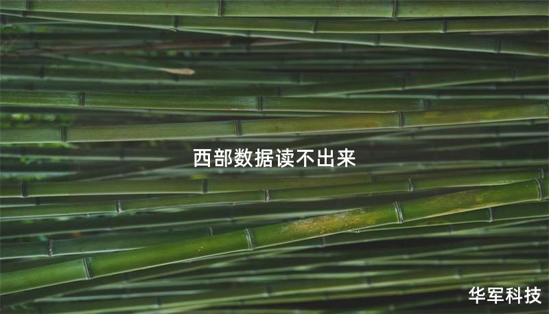 西部数据读不出来