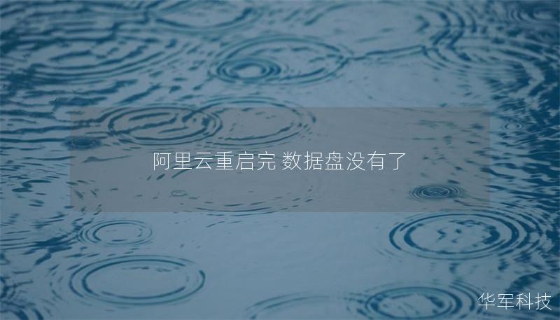 阿里云重启完 数据盘没有了
