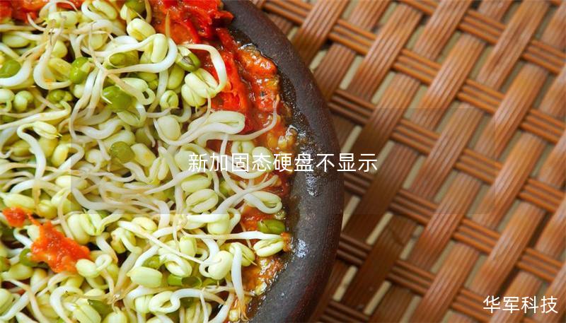 新加固态硬盘不显示