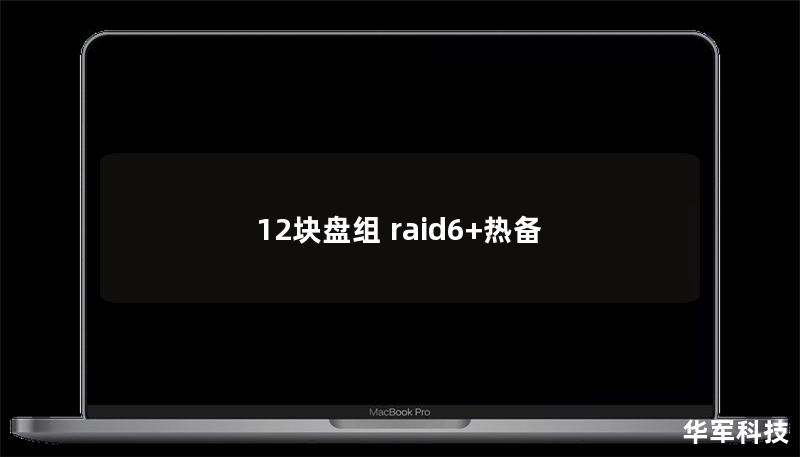 12块盘组 raid6+热备