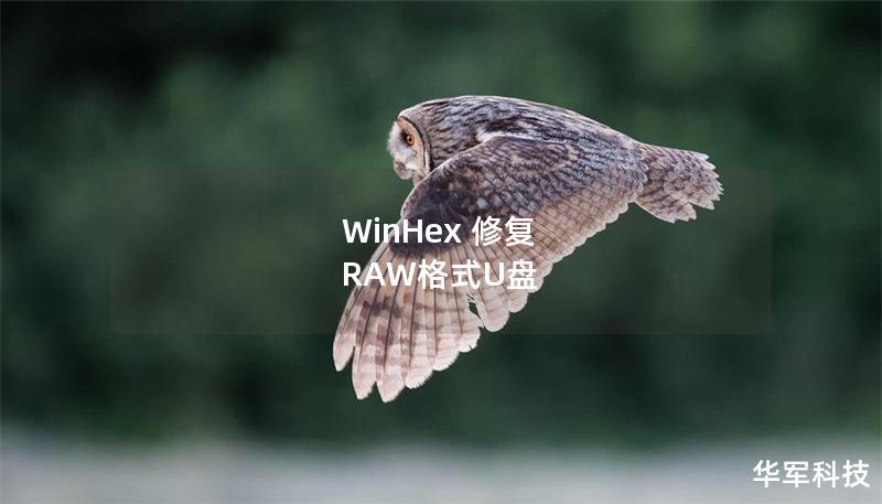 WinHex 修复 RAW格式U盘 WinHex 修复 RAW格式U盘