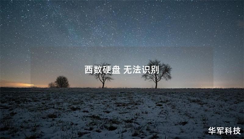 西数硬盘 无法识别