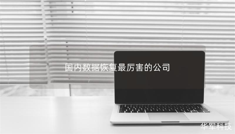 国内数据恢复最厉害的公司
