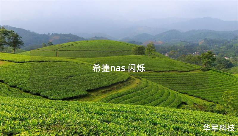 希捷nas 闪烁 希捷nas 闪烁